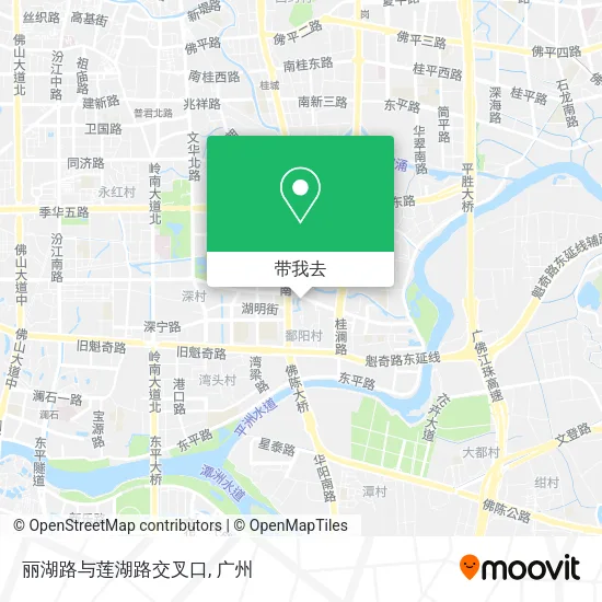 丽湖路与莲湖路交叉口地图