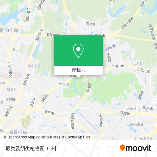 蕨类及阴生植物园地图