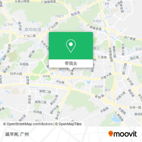 藏琴阁地图