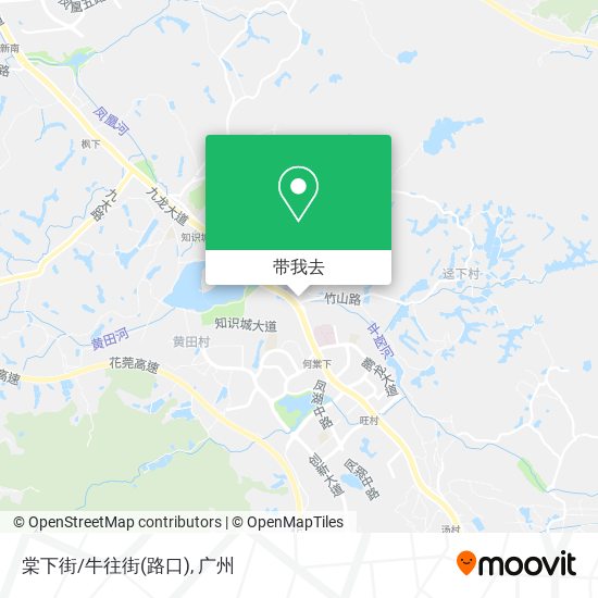 棠下街/牛往街(路口)地图