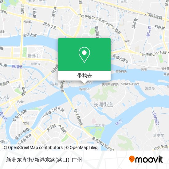 新洲东直街/新港东路(路口)地图