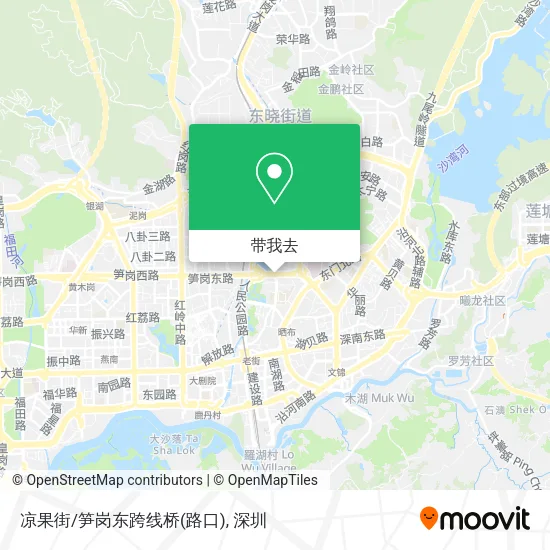 凉果街/笋岗东跨线桥(路口)地图