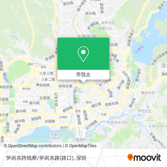 笋岗东跨线桥/笋岗东路(路口)地图
