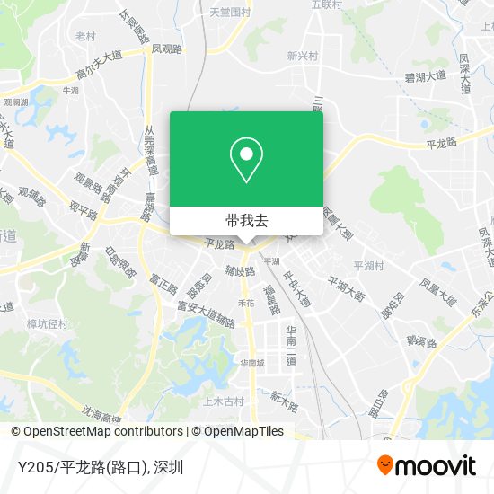 Y205/平龙路(路口)地图