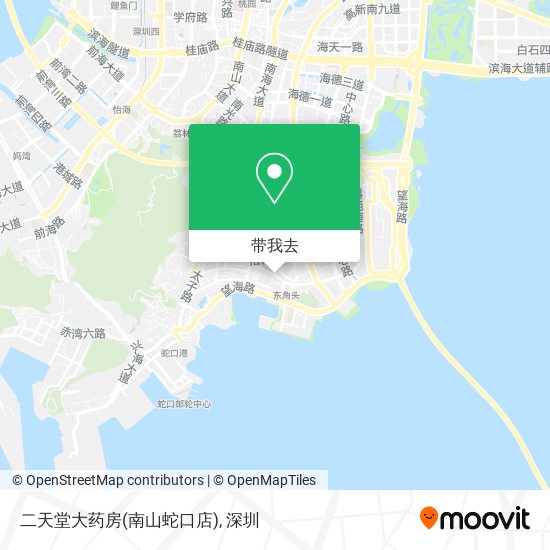 二天堂大药房(南山蛇口店)地图