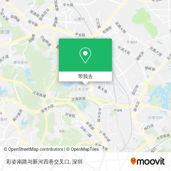 彩姿南路与新河四巷交叉口地图