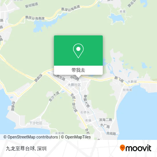 九龙至尊台球地图