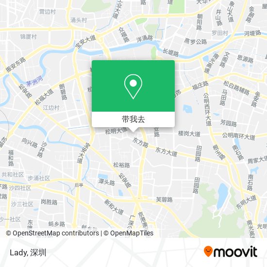 Lady地图