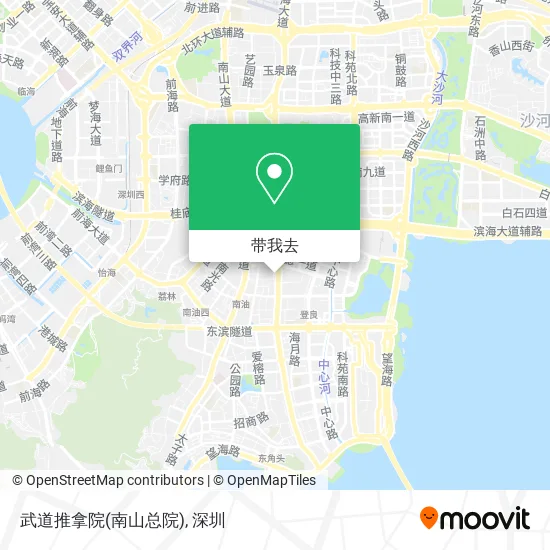 武道推拿院(南山总院)地图