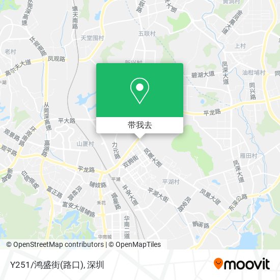 Y251/鸿盛街(路口)地图
