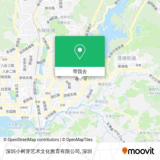 深圳小树芽艺术文化教育有限公司地图