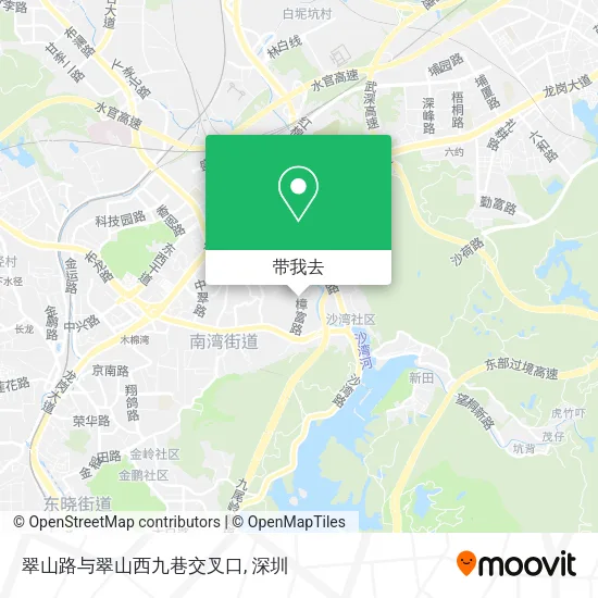 翠山路与翠山西九巷交叉口地图