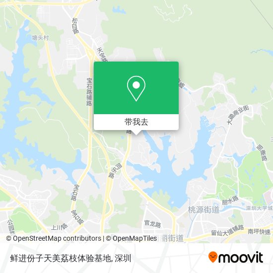 鲜进份子天美荔枝体验基地地图