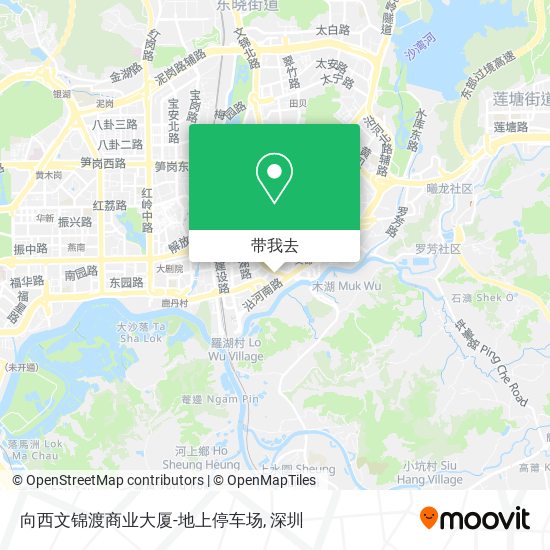 向西文锦渡商业大厦-地上停车场地图