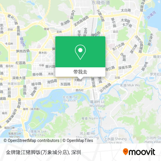 金牌隆江猪脚饭(万象城分店)地图