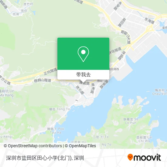深圳市盐田区田心小学(北门)地图