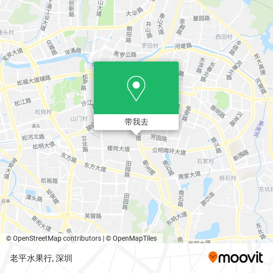 老平水果行地图
