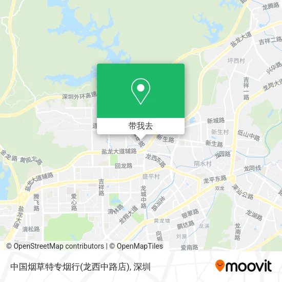 中国烟草特专烟行(龙西中路店)地图