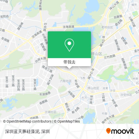 深圳蓝天豚硅藻泥地图