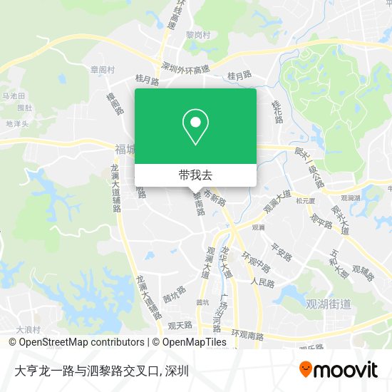 大亨龙一路与泗黎路交叉口地图