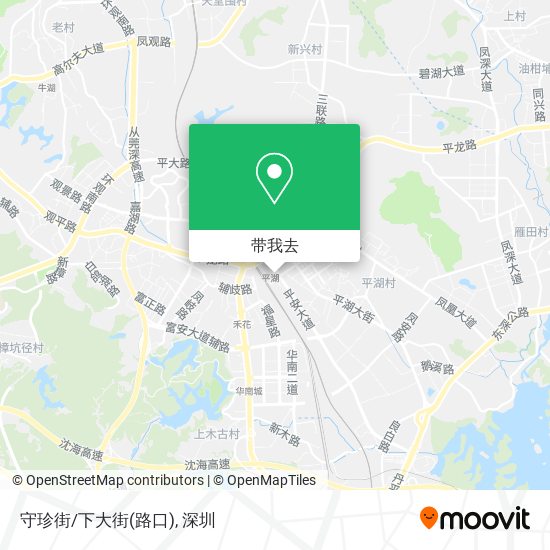 守珍街/下大街(路口)地图