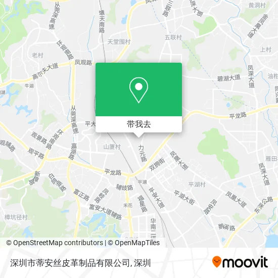 深圳市蒂安丝皮革制品有限公司地图