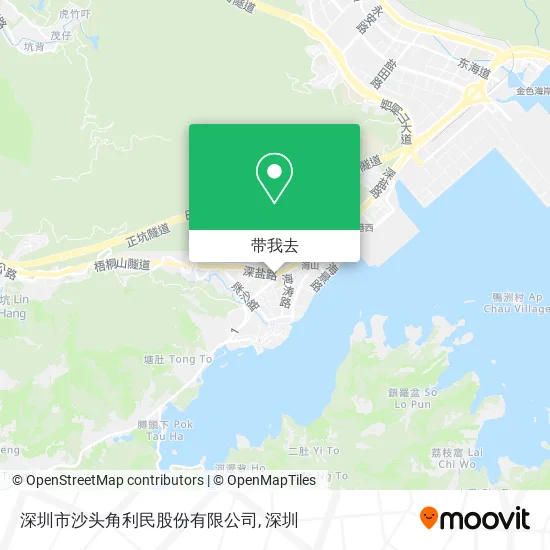 深圳市沙头角利民股份有限公司地图