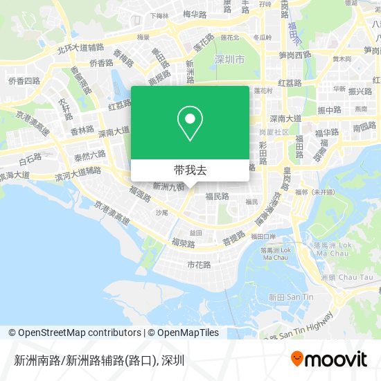 新洲南路/新洲路辅路(路口)地图
