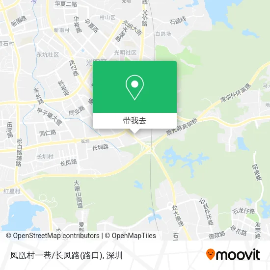 凤凰村一巷/长凤路(路口)地图