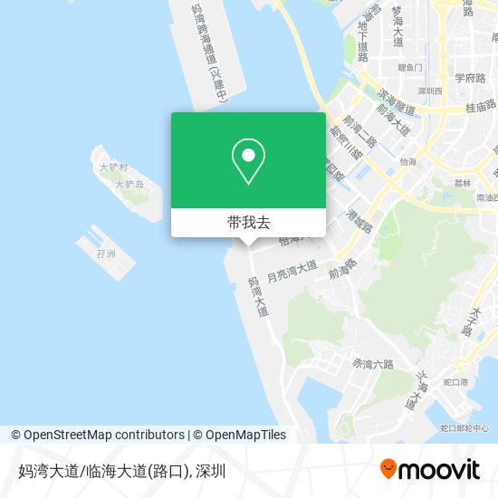 妈湾大道/临海大道(路口)地图