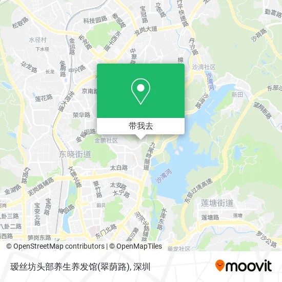 瑷丝坊头部养生养发馆(翠荫路)地图
