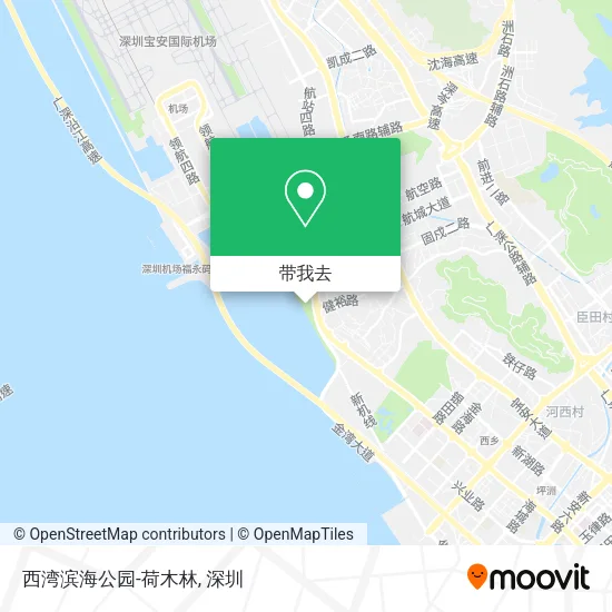 西湾滨海公园-荷木林地图
