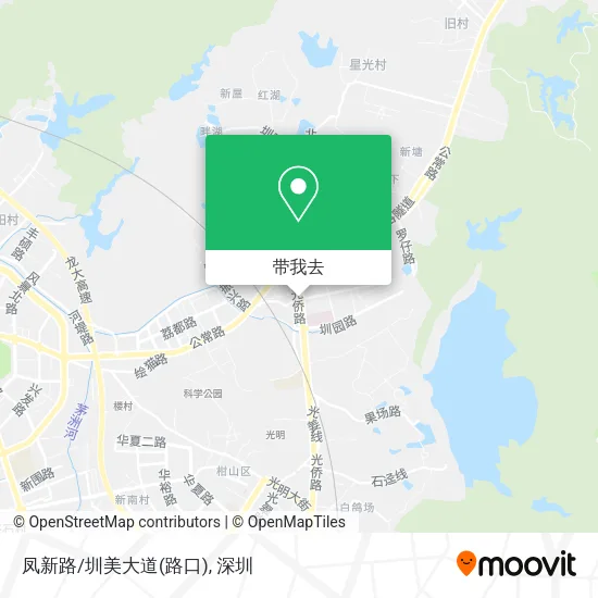 凤新路/圳美大道(路口)地图