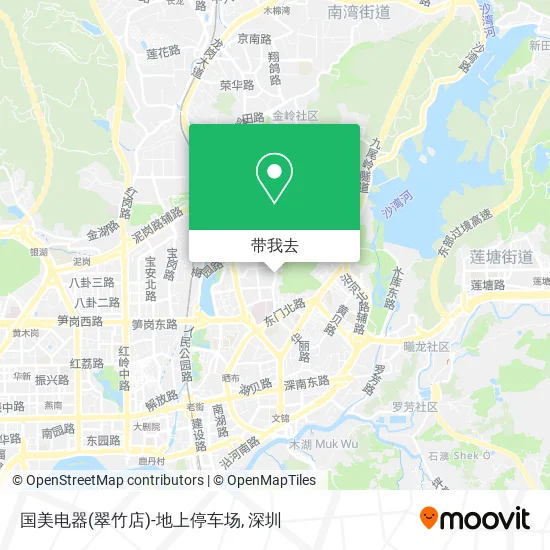 国美电器(翠竹店)-地上停车场地图
