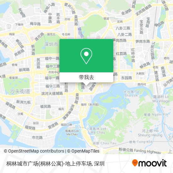 桐林城市广场(桐林公寓)-地上停车场地图