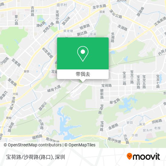 宝荷路/沙荷路(路口)地图