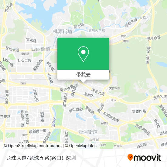 龙珠大道/龙珠五路(路口)地图
