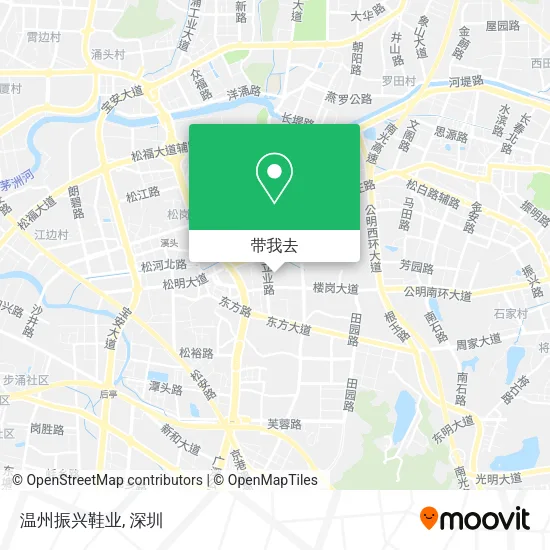 温州振兴鞋业地图