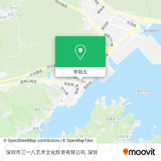 深圳市三一八艺术文化投资有限公司地图