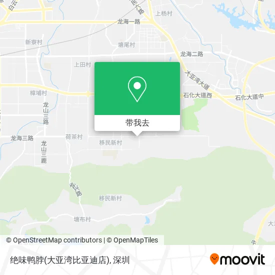绝味鸭脖(大亚湾比亚迪店)地图