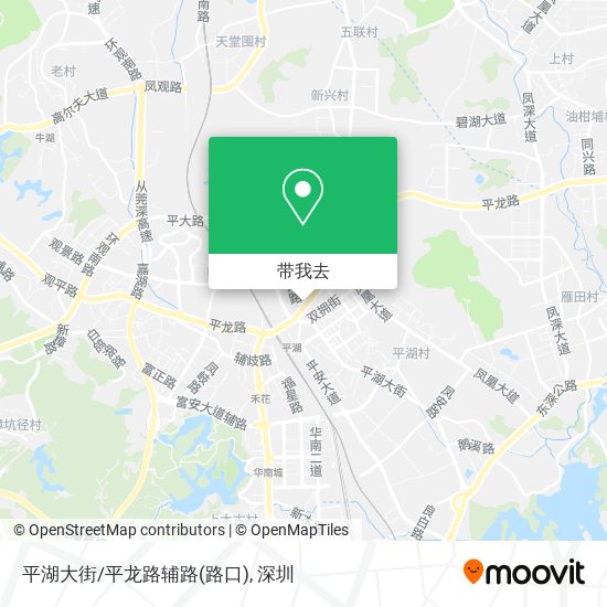 平湖大街/平龙路辅路(路口)地图