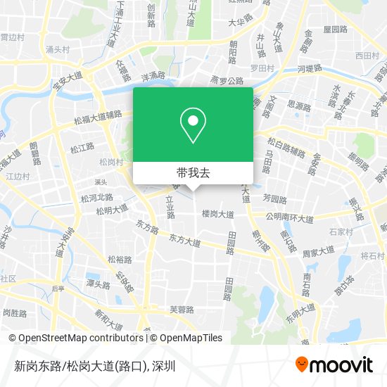新岗东路/松岗大道(路口)地图