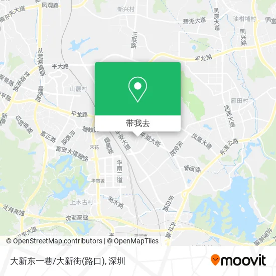 大新东一巷/大新街(路口)地图