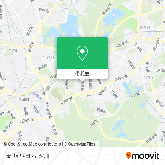 金世纪大理石地图