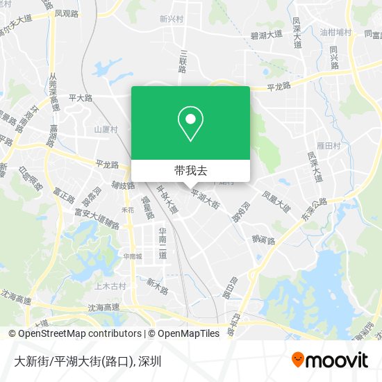 大新街/平湖大街(路口)地图