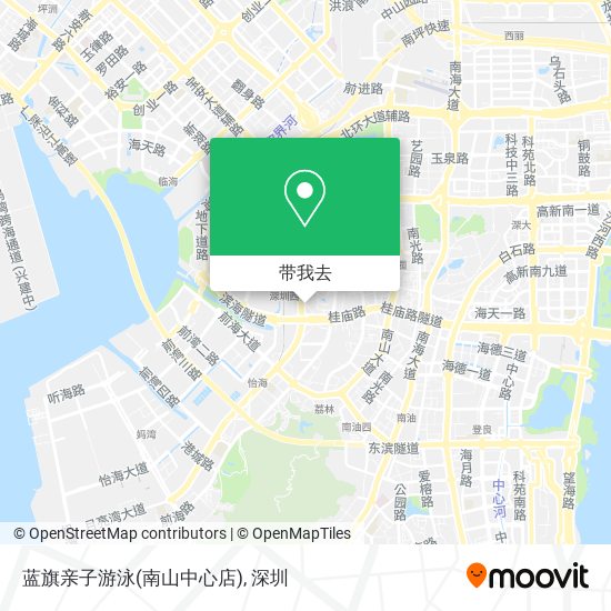 蓝旗亲子游泳(南山中心店)地图