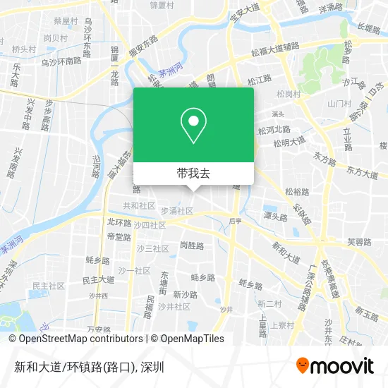 新和大道/环镇路(路口)地图