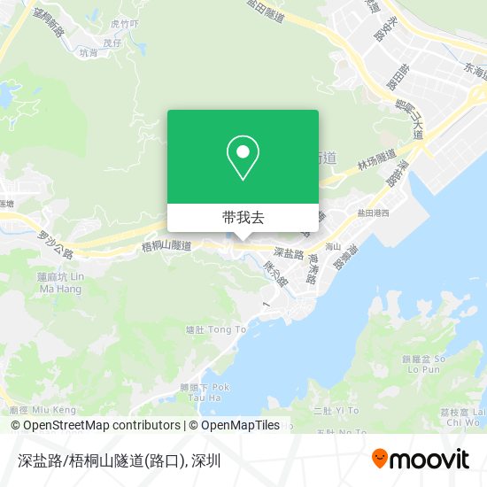 深盐路/梧桐山隧道(路口)地图