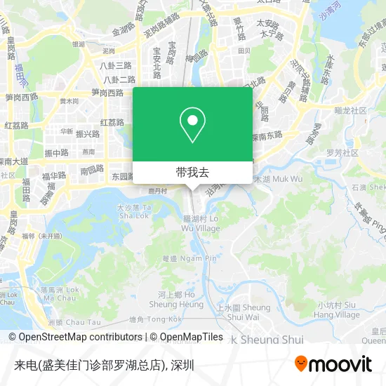 来电(盛美佳门诊部罗湖总店)地图