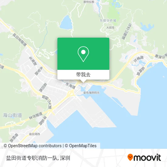 盐田街道专职消防一队地图